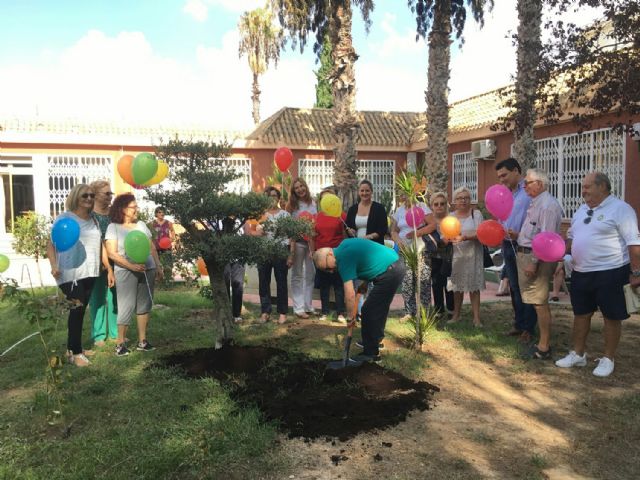 El pintor murciano Manuel Páez expone en el Museo de San Javier su colección Paraísos derruidos - 1, Foto 1