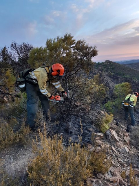 Imágenes tomadas y cedidas por la Unidad de Defensa contra los Incendios Forestales de la Dirección General del Medio Natural., Foto 1