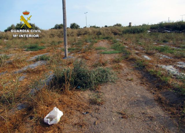 La Guardia Civil investiga a un vecino de Águilas por la captura ilegal de aves fringílidas - 1, Foto 1