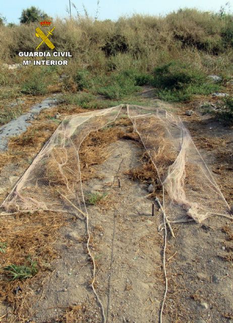 La Guardia Civil investiga a un vecino de Águilas por la captura ilegal de aves fringílidas - 3, Foto 3