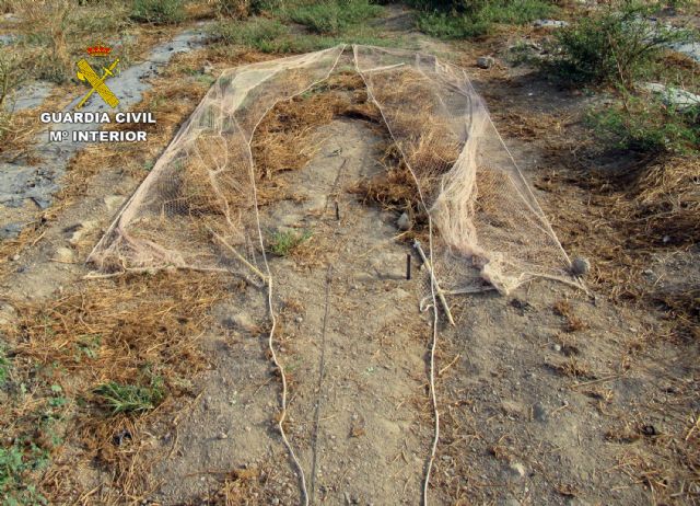 La Guardia Civil investiga a un vecino de Águilas por la captura ilegal de aves fringílidas - 4, Foto 4