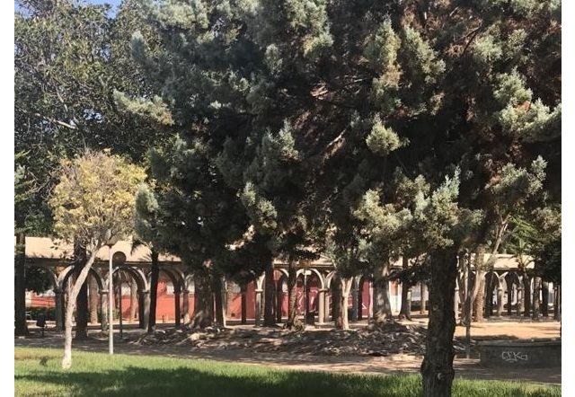 El PSOE de San Javier denuncia la adjudicación de la obra del Parque Almansa a unos empresarios vinculados a la Gürtel - 1, Foto 1