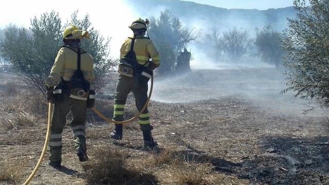 Incendio de vegetación junto al casco urbano de Cieza - 2, Foto 2