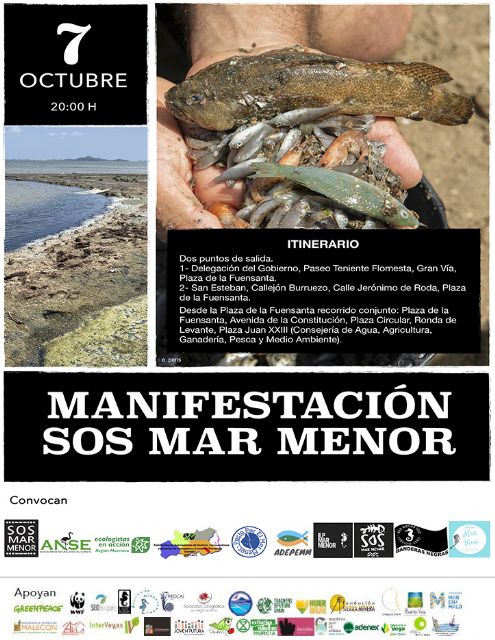MC: N. Arroyo y el PP boicotean la manifestación de Murcia para no escuchar el grito de auxilio de la sociedad por el Mar Menor - 2, Foto 2