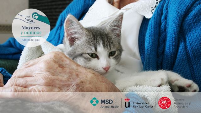 Nace Mayores y Mininos. Adopta un Gato, la iniciativa solidaria para la adopción de gatos adultos por personas mayores en situación de soledad - 1, Foto 1