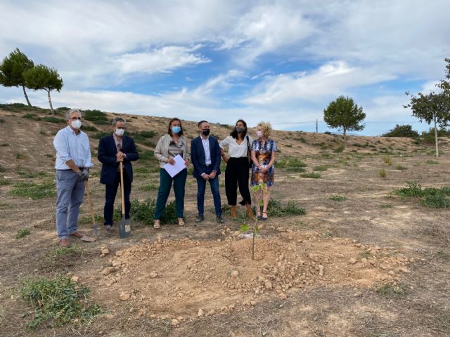 El proyecto El Piular de Miriam en el paraje de El Pasico, cuenta con una higuera de la originaria de la Casa Museo de Miguel Hernández - 1, Foto 1