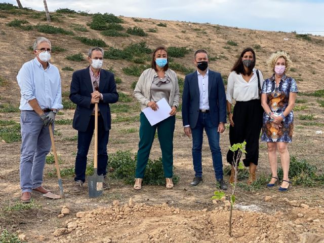 El proyecto El Piular de Miriam en el paraje de El Pasico, cuenta con una higuera de la originaria de la Casa Museo de Miguel Hernández - 2, Foto 2