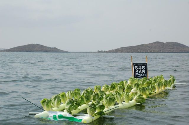 El velero de Ecologistas en Acción pionero en el cultivo hidropónico de lechugas en el Mar Menor - 3, Foto 3