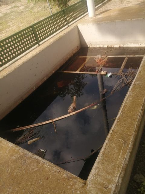 ¿Fuentes ornamentales o criaderos de mosquitos, ranas y hasta sapos? - 2, Foto 2