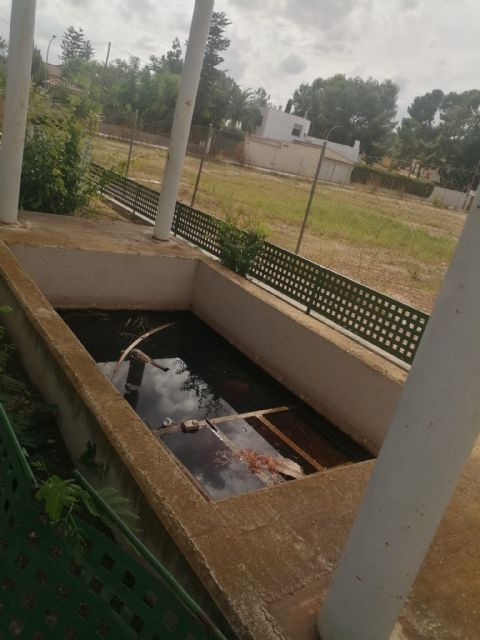 ¿Fuentes ornamentales o criaderos de mosquitos, ranas y hasta sapos? - 3, Foto 3