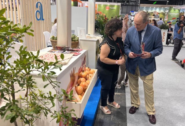 Las granadas de Elche logran el premio Estrellas de Internet por la campa&ntilde;a protagonizada por Alaska - 2, Foto 2