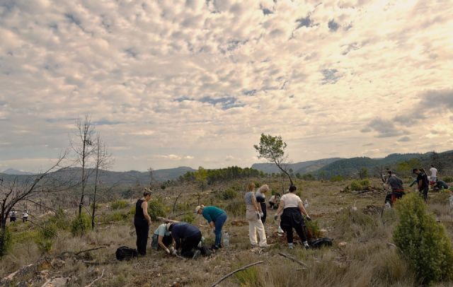 RH Hoteles celebra su cuarta jornada de reforestación y crea un área específica para coordinar sus iniciativas medioambientales y sociales - 2, Foto 2