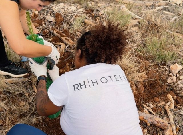 RH Hoteles celebra su cuarta jornada de reforestación y crea un área específica para coordinar sus iniciativas medioambientales y sociales - 3, Foto 3