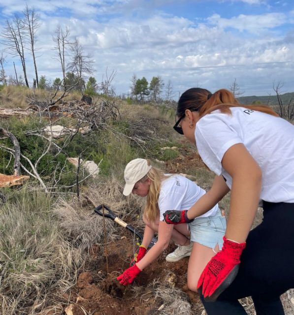 RH Hoteles celebra su cuarta jornada de reforestación y crea un área específica para coordinar sus iniciativas medioambientales y sociales - 4, Foto 4