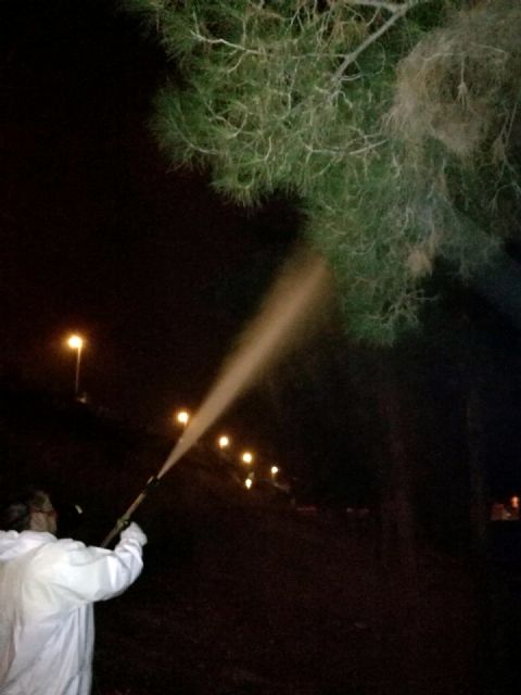 Comienza el tratamiento preventivo antiprocesionaria en más de 2.600 pinos de Murcia y pedanías - 1, Foto 1