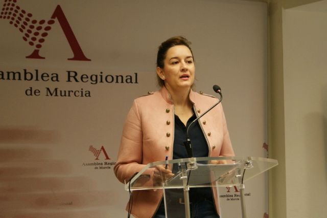 El PSOE denuncia que el Gobierno regional no tiene voluntad de aplicar las medidas estatales para reducir los recortes en Educación - 1, Foto 1