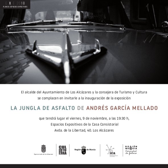 LA JUNGLA DE ASFALTO / La jungla en blanco y negro - 1, Foto 1