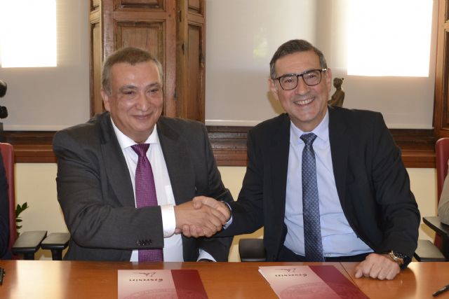 La Universidad de Murcia y Villapharma crean una cátedra de Química Médica - 1, Foto 1