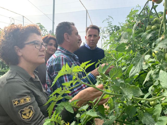 El PP denuncia que as pedanías pierden 60 obras de mejora - 1, Foto 1