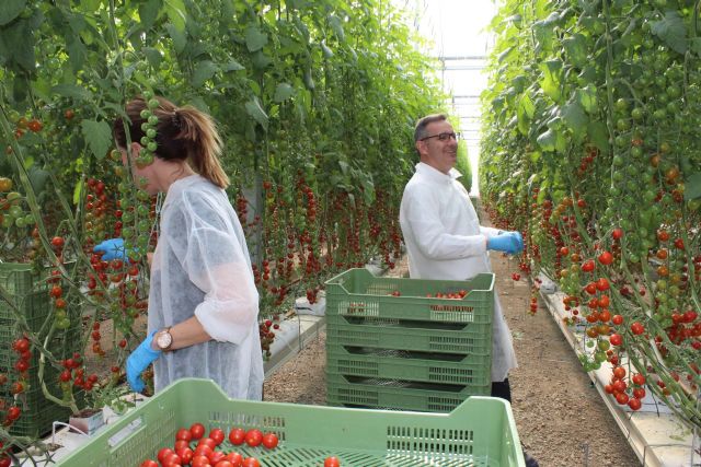 Diego Conesa: La Región de Murcia sufre un colapso financiero, social y ambiental por la nefasta gestión del Partido Popular y Ciudadanos - 1, Foto 1