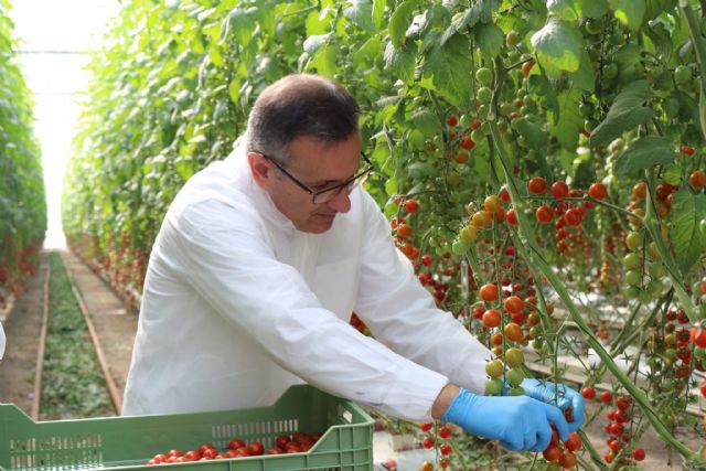 Diego Conesa: La Región de Murcia sufre un colapso financiero, social y ambiental por la nefasta gestión del Partido Popular y Ciudadanos - 2, Foto 2