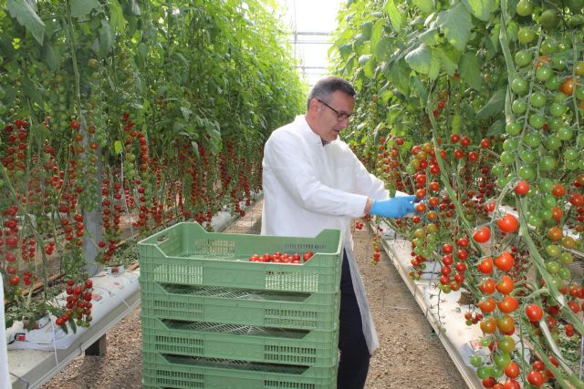 Diego Conesa: La Región de Murcia sufre un colapso financiero, social y ambiental por la nefasta gestión del Partido Popular y Ciudadanos - 3, Foto 3