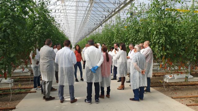 Looije abre las puertas de sus nuevos invernaderos en Águilas - 1, Foto 1