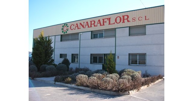 El Consejo de Gobierno de la Región de Murcia autoriza una subvención de 195.000 euros a Canaraflor - 1, Foto 1