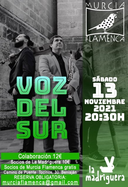 Murcia Flamenca: Gala Voz del Sur, 13 Nov - 1, Foto 1