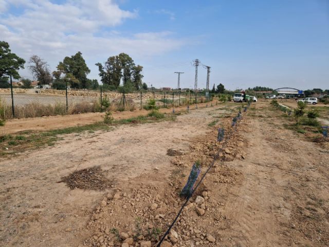 El Ayuntamiento de Murcia planta más de 3.000 árboles en la urbanización Montevida - 3, Foto 3