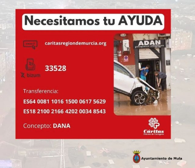   Finaliza la recogida solidaria de productos para afectados por la DANA y se recomienda colaboración económica - 1, Foto 1