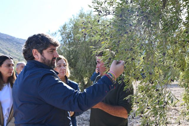 López Miras anuncia 7 millones de euros en ayudas a agricultores y ganaderos por la sequía - 1, Foto 1