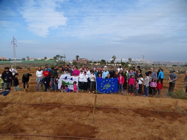 Voluntarios plantan un nuevo bosque de Ciprés de Cartagena en Calblanque - 1, Foto 1