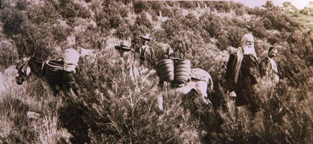 La exposicin sobre la reforestacin de Sierra Espuña recibe a ms de mil personas en el Centro de Visitantes Ricardo Codornu, Foto 3