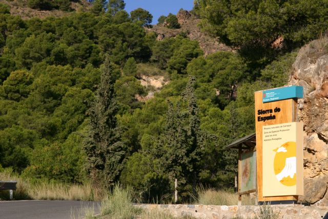 La exposicin sobre la reforestacin de Sierra Espuña recibe a ms de mil personas en el Centro de Visitantes Ricardo Codornu, Foto 4