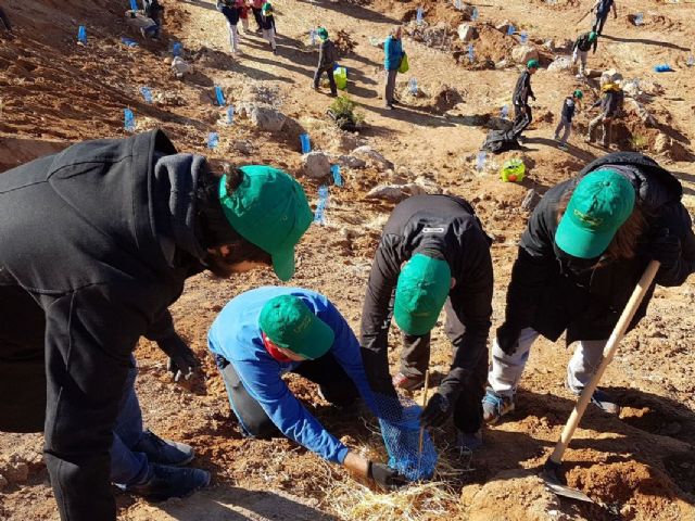 Adjudicada la limpieza de los centros escolares y la reforestacion de espacios municipales - 1, Foto 1