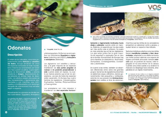 Columbares publica una guía sobre las reservas naturales fluviales de la cuenca del Río Segura - 3, Foto 3