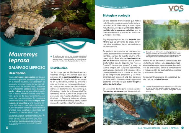Columbares publica una guía sobre las reservas naturales fluviales de la cuenca del Río Segura - 4, Foto 4