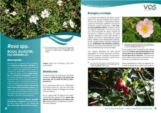 Columbares publica una guía sobre las reservas naturales fluviales de la cuenca del Río Segura - 5, Foto 5