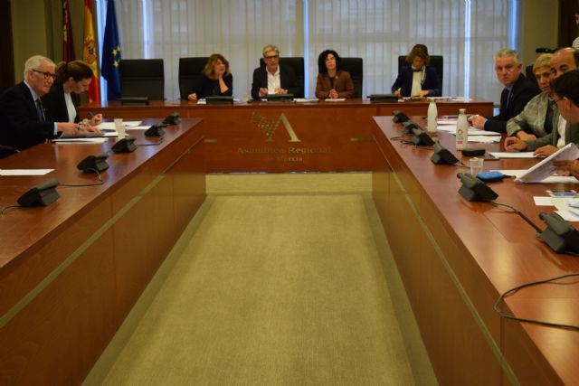 La Asamblea demanda una regulación de la publicidad sanitaria que garantice la seguridad del paciente - 1, Foto 1