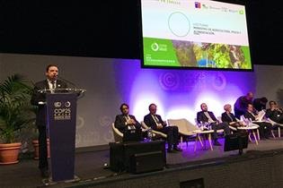 Planas subraya la contribución de los bosques en la mitigación de los efectos del calentamiento global - 2, Foto 2