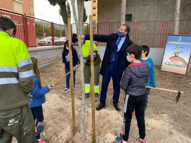 El Plan Foresta llega a los colegios de los barrios de Conexión Sur - 1, Foto 1