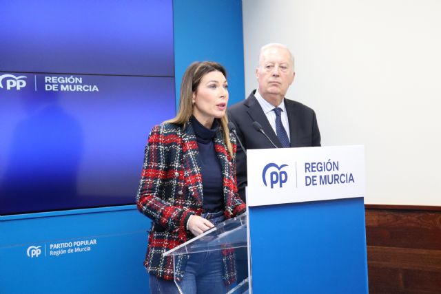 El PP presenta una Proposición de Ley para proteger a nuestros profesionales sanitarios frente a agresiones físicas y verbales - 2, Foto 2