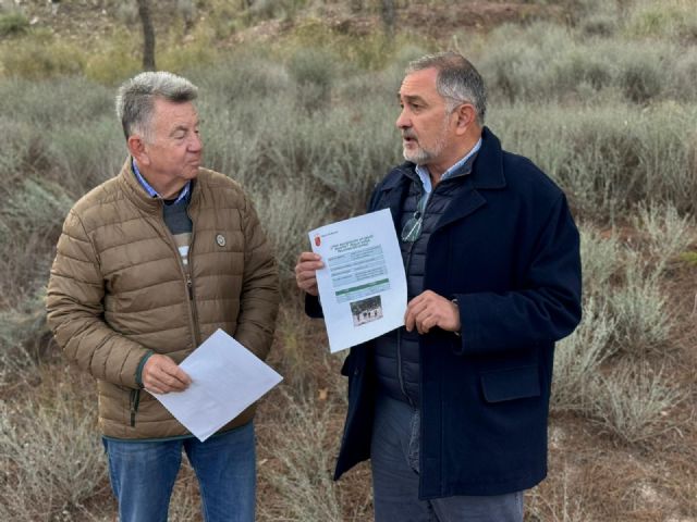 El Ayuntamiento de Lorca traslada una serie de recomendaciones tras los casos de jabalíes contagiados por la peste porcina africana - 1, Foto 1