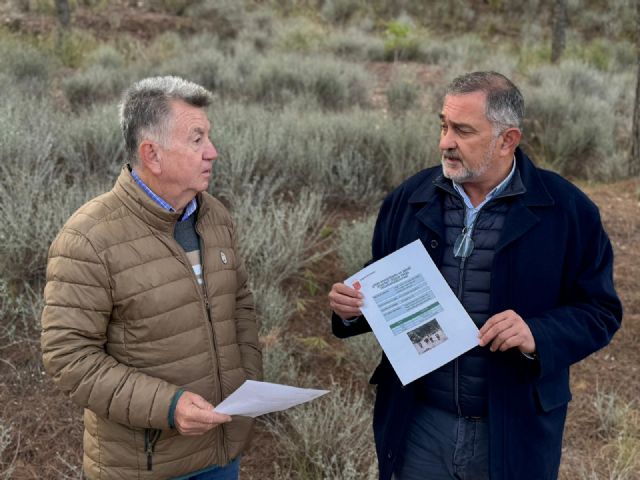 El Ayuntamiento de Lorca traslada una serie de recomendaciones tras los casos de jabalíes contagiados por la peste porcina africana - 3, Foto 3