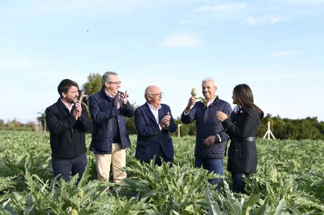 La Vega Baja inaugura la temporada de alcachofas con un crecimiento del 10% de la superficie de cultivo - 1, Foto 1