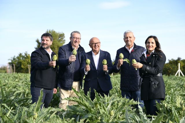 La Vega Baja inaugura la temporada de alcachofas con un crecimiento del 10% de la superficie de cultivo - 3, Foto 3