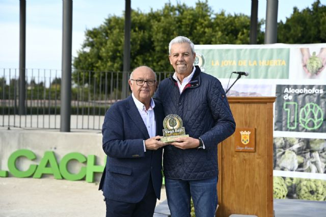La Vega Baja inaugura la temporada de alcachofas con un crecimiento del 10% de la superficie de cultivo - 4, Foto 4