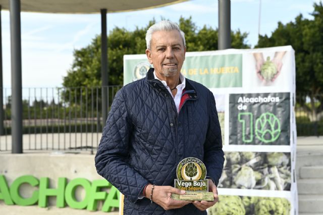 La Vega Baja inaugura la temporada de alcachofas con un crecimiento del 10% de la superficie de cultivo - 5, Foto 5