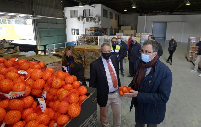 El Ayuntamiento coordina la donación de 20.000 kilos de clementinas al Banco de Alimentos y Cáritas - 2, Foto 2